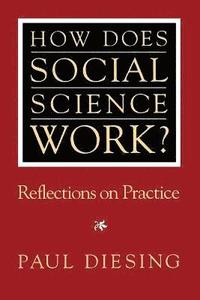 bokomslag How Does Social Science Work?