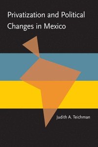 bokomslag Privatization and Political Change in Mexico