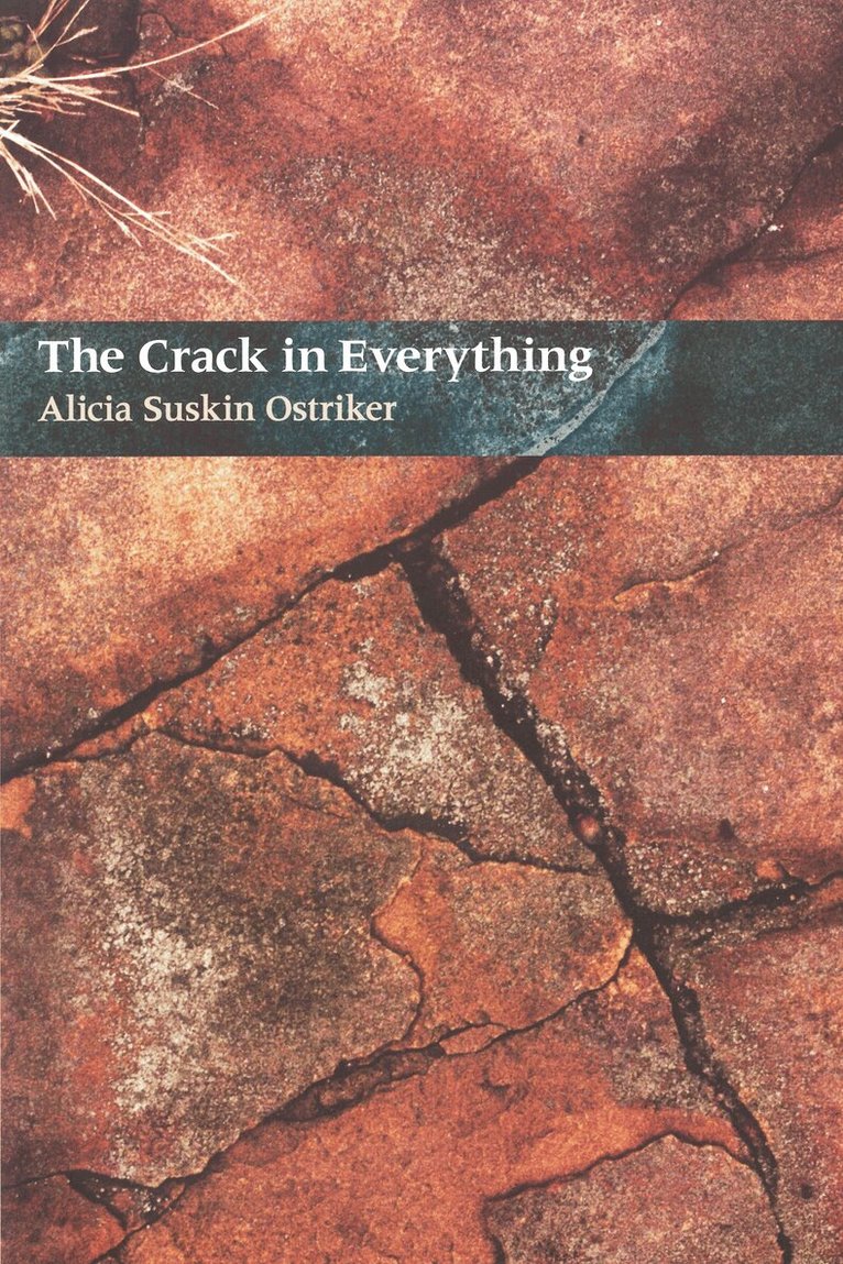 Alicia Suskin Ostriker - Crack In Everything, Häftad