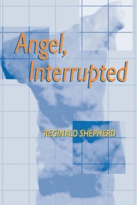 bokomslag Angel Interrupted