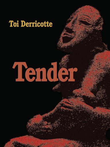 Toi Derricotte - Tender, Häftad