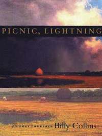 bokomslag Picnic, Lightning