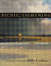 bokomslag Picnic, Lightning