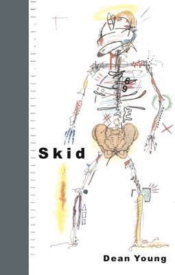 bokomslag Skid