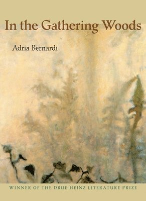 bokomslag In the Gathering Woods