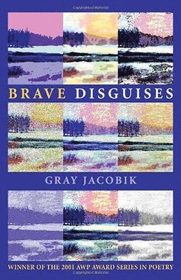 Gray Jacobik - Brave Disguises, Häftad