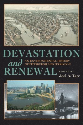 bokomslag Devastation and Renewal