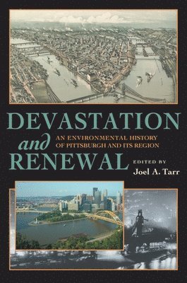 Joel A. Tarr, Joel Tarr - Devastation and Renewal, Häftad