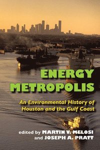 bokomslag Energy Metropolis