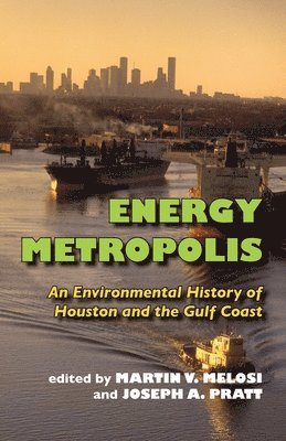 Energy Metropolis 1