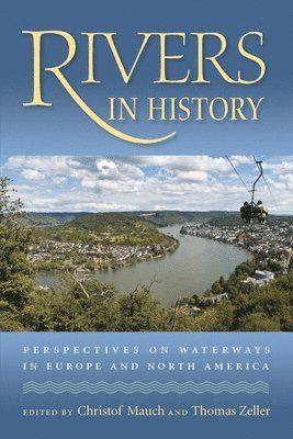 bokomslag Rivers in History