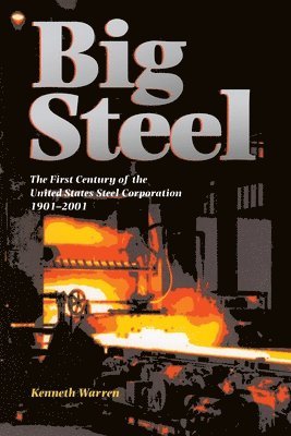 bokomslag Big Steel