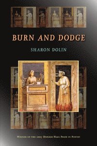 bokomslag Burn and Dodge