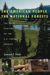 bokomslag The American People and the National Forests