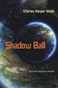 bokomslag Shadow Ball