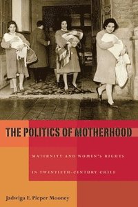 bokomslag Politics of Motherhood, The