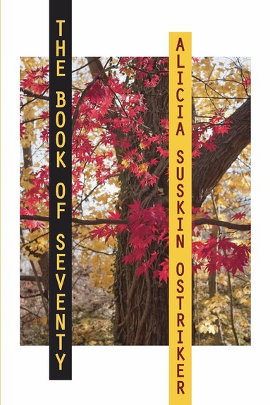 Alicia Suskin Ostriker - Book of Seventy, Häftad