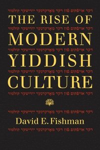 bokomslag The Rise of Modern Yiddish Culture