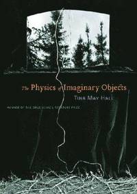 bokomslag The Physics of Imaginary Objects
