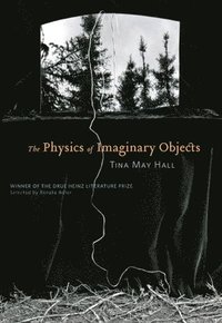 bokomslag The Physics of Imaginary Objects