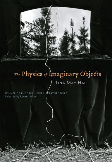 Tina May Hall - Physics of Imaginary Objects, Häftad