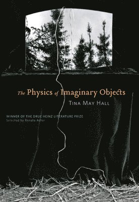 The Physics of Imaginary Objects 1