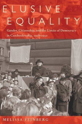 bokomslag Elusive Equality