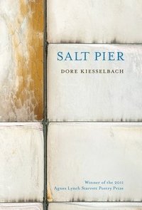 bokomslag Salt Pier