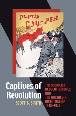 bokomslag Captives of Revolution