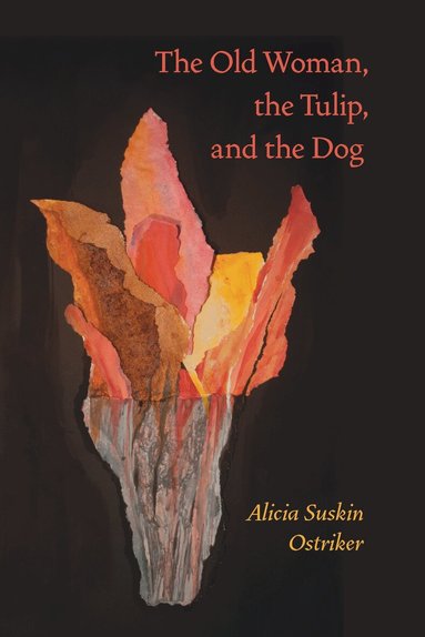Alicia Suskin Ostriker - Old Woman, the Tulip, and the Dog, Häftad
