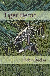 bokomslag Tiger Heron