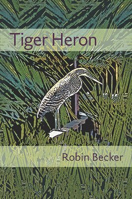 Tiger Heron 1