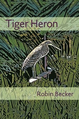 Robin Becker - Tiger Heron, Häftad