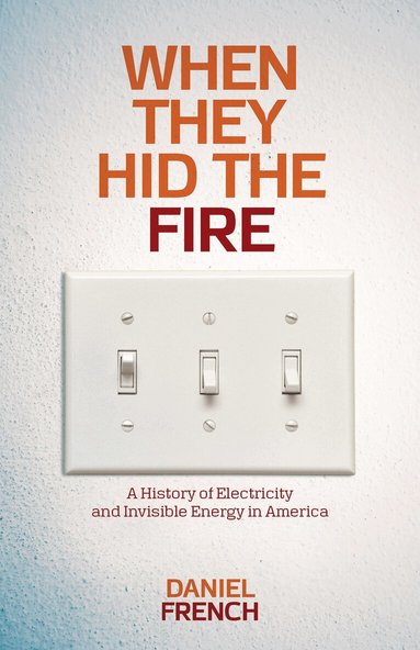 Daniel French - When They Hid the Fire, Häftad