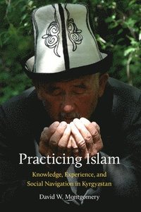 bokomslag Practicing Islam