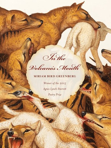 Miriam Greenberg - In the Volcano's Mouth, Häftad