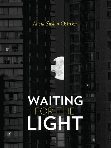 Alicia Suskin Ostriker - Waiting for the Light, Häftad