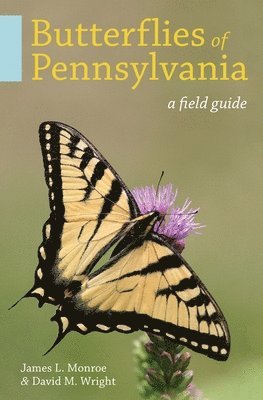 Butterflies of Pennsylvania 1