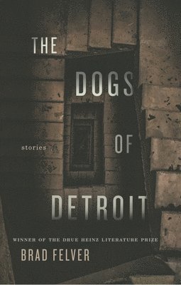bokomslag Dogs of Detroit