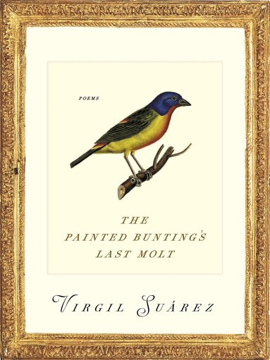 Virgil Suarez - Painted Bunting's Last Molt, Häftad
