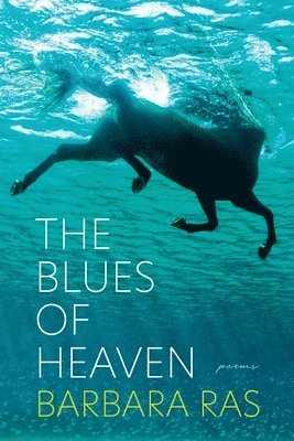 bokomslag Blues of Heaven