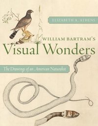 bokomslag William Bartram's Visual Wonders