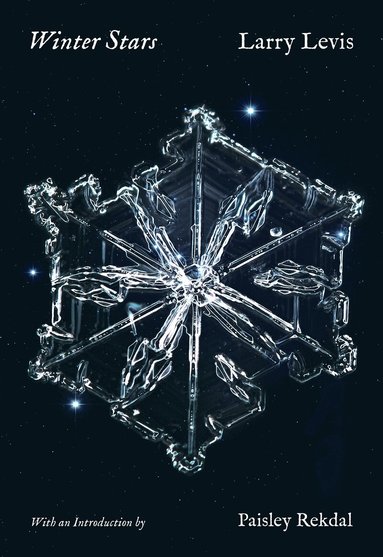 Larry Levis - Winter Stars, Häftad