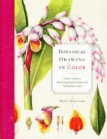 Botanical Drawing in Color