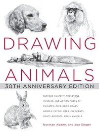 bokomslag Drawing Animals