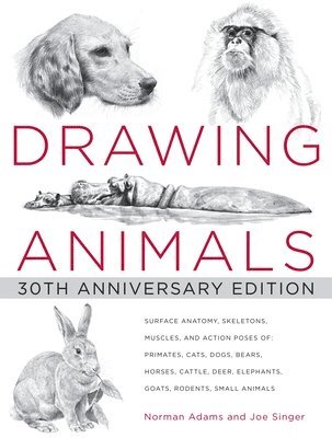 bokomslag Drawing Animals