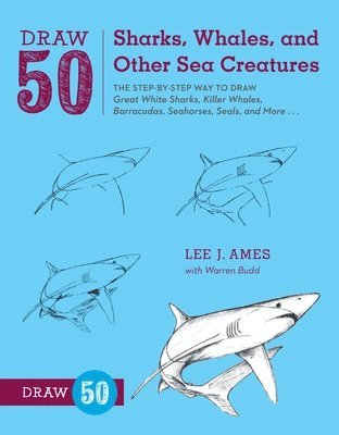 Draw 50 Sharks, Whales, and Other Sea Creatures 1