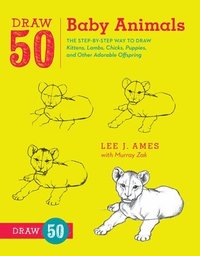 bokomslag Draw 50 Baby Animals