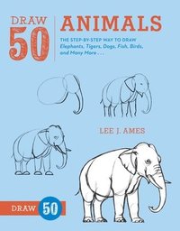 bokomslag Draw 50 Animals