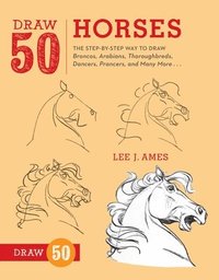 bokomslag Draw 50 Horses